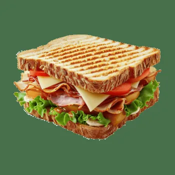 Veg sandwich 